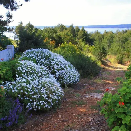 아파트 By The Sea Zavala, Hvar - 8745